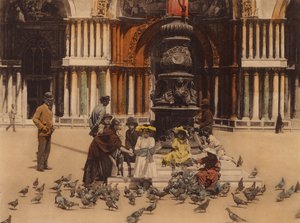 Venedig: Tauben von Italian Photographer