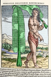 Ein westindischer Eingeborener steht neben einem Tabakblatt. Gravur aus dem Buch „Navigationi und Viaggi“ Bd. III von Giovanni Battista Ramusio (1485-1557), Venedig 1565