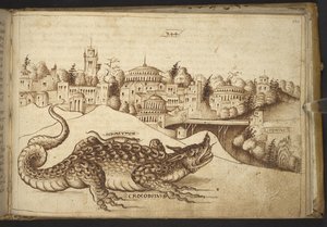 Ein Krokodil (