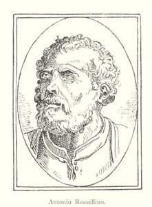 Antonio Rossellino (Stich) von Italian School