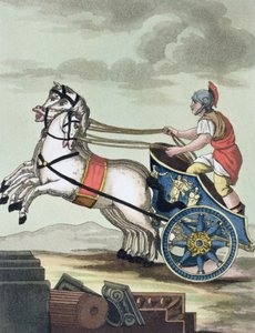 Wagenlenker, aus L