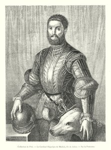 Sammlung von Pitti, Kardinal Hippolyte de