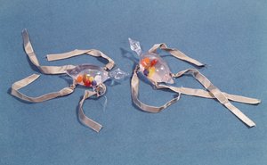 Kopie von zwei medizinischen Thermometern aus dem Museo di Storia della Scienza in Florenz (Glas & Band) von Italian School
