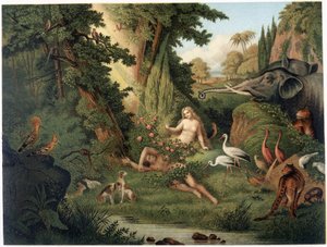 Erschaffung Evas aus der Rippe Adams - in „Aurea Bibbia classica: storia della rivelazione divina nell