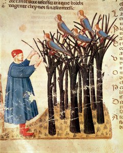 Dante und die in Vögel verwandelten Seelen, aus Die Göttliche Komödie von Dante Alighieri (1265-1321)