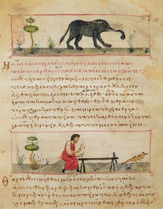 Elefant und traditionelle Elfenbeinarbeit, Illustration aus der Cynegetica von Oppian von Italian School