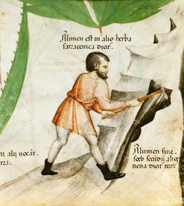 Alaunextraktion, ca. 1440