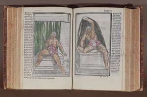 Weibliche Anatomie, aus Commentaria cum amplissimis additionibus super anatomiam mundini, von Jacopo Berengario da Carpi (ca. 1460-ca. 1530) veröffentlicht in Bologna, 1521 (Farbholzschnitt) von Italian School