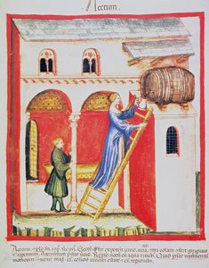 Essig, Illustration aus Tacuinum Sanitatis Codex Vindobonensis