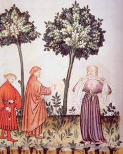 Cholera, Illustration aus Tacuinum Sanitatis Codex Vindobonensis