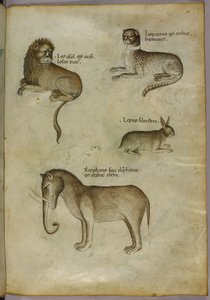 Illustration eines Löwen, eines Leoparden, eines Kaninchens und eines Elefanten