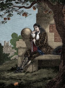 Isaac Newton beobachtet einen Apfel, der zu Boden fällt, während er unter einem Baum sitzt.
