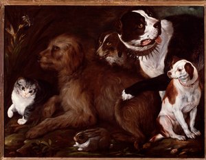Medici-Hunde, mit einer Katze und einem Kaninchen aus der italienischen Schule von Italian School