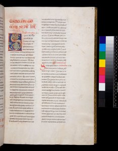 Ms 143. Gregor der Große, Registrum Epistolarum, f.8r. Verzierte Initiale [S] mit weißen Weinlaubfüllungen und Endstücken