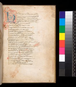 Ms 315. Horaz, Ars Poetica und Epistulae, f.1r. Verzierte Initiale [N] in blau und rot mit umliegendem Federwerk in rot