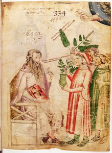 Männer präsentieren Pflanzen einem unbekannten Mann, aus De Herbis von Manfredus de Monte Imperiali