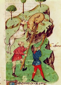 Ms Lat 993 fol.35r Die Jagd, aus 
