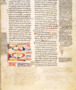 Detail einer pflanzenförmigen Initiale C aus Gratians Decretum