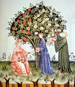 Rosen sammeln, Illustration aus Tacuinum Sanitatis Codex Vindobonensis