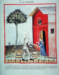 Nova 2644 fol.59v Verkauf von Quark, aus 