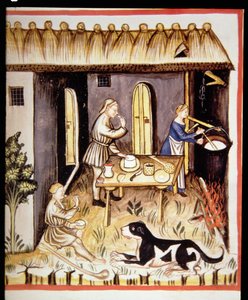 Nova 2644 fol.62r Zubereitung von weißem Käse, aus Tacuinum Sanitatis
