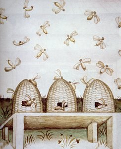 Nova 2644 fol.94v Bienenstöcke, aus Tacuinum Sanitatis von Italian School