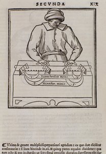 Seite aus Musica theorica von Lodovico Fogliani (1475?-1542) (oder Ludovico Foliani), Musiktheoretiker von Italian School