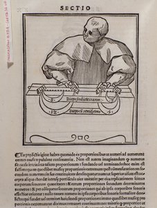 Seite aus Musica theorica von Lodovico Fogliani (1475?-1542) (oder Ludovico Foliani), Musiktheoretiker