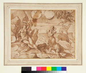 Perseus rettet Andromeda