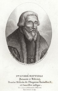 Pietro Andrea Mattioli von Italian School