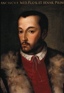 Porträt von Francesco I de Medici von Italian School