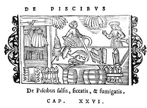 Salzen, Trocknen und Räuchern von Fisch, Illustration aus Historia de Gentibus Septentrionalibus von Olaus Magnus (1490-1558), veröffentlicht in Rom, 1555 von Italian School