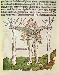 Die Konstellation von Andromeda, eine Illustration aus dem 