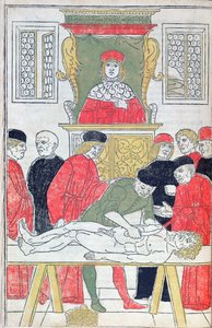 Die Sektion, Illustration aus 