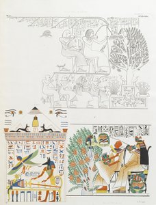 Der Verstorbene wird von der Sykomorenbaumgöttin und Anubis mit der Mumie mit Essen und Wein versorgt