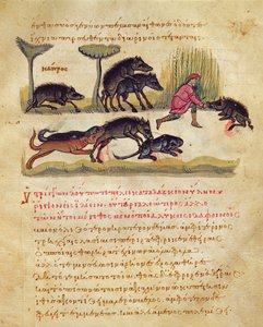 Abhandlung über den Eber: Leben, Paarung, Jagd, Illustration aus der Cynegetica von Oppian von Italian School