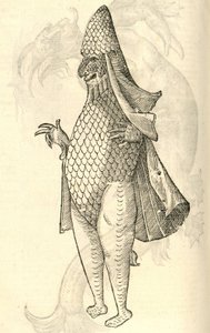 Illustration von Monstrum Marinum rudimenta habitus Episcopi referens aus Aldrovandis Geschichte der Monster, 1642