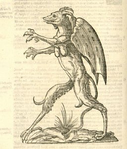 Illustration von Monstrum alatum, & cornutum instar Cacodaemonis aus Aldrovandis Geschichte der Monster, 1642