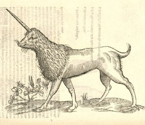 Illustration eines Camphurch aus Aldrovandis Geschichte der Monster, 1642