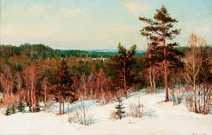 Winter - Blick über den Wald von Ivan Fedorovich Choultse