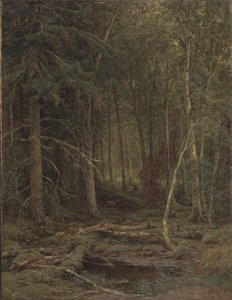 Hinterland