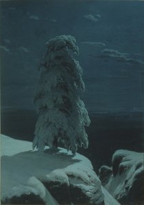 In den Wildnissen des Nordens von Ivan Ivanovich Shishkin