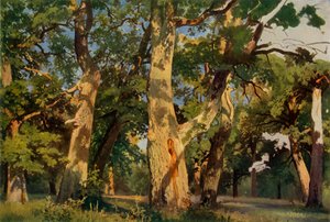 Eichenbäume am Abend, 1887, 1965