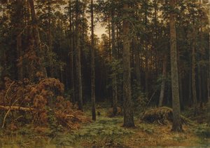 Kiefernwald, 1885