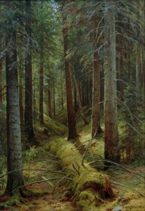 Im russischen Wald