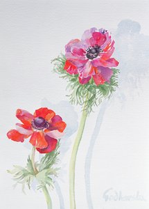Anemone, 1998 von Izabella Godlewska de Aranda