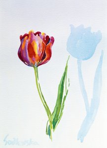 Tulpe, 1998 von Izabella Godlewska de Aranda