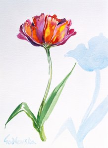Tulpe, 1998 von Izabella Godlewska de Aranda