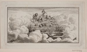Die höheren und niederen Tiere