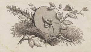 Eine kreisrunde geneigte Scheibe zwischen Blättern und Insekten von J.F. Clemens